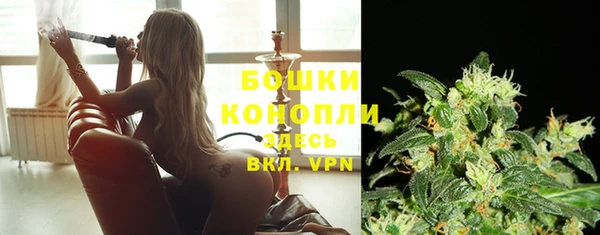 ECSTASY Вязьма