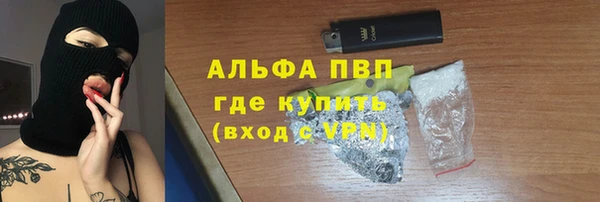 дмт Вяземский