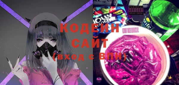 дмт Вяземский