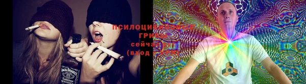 ECSTASY Вязьма