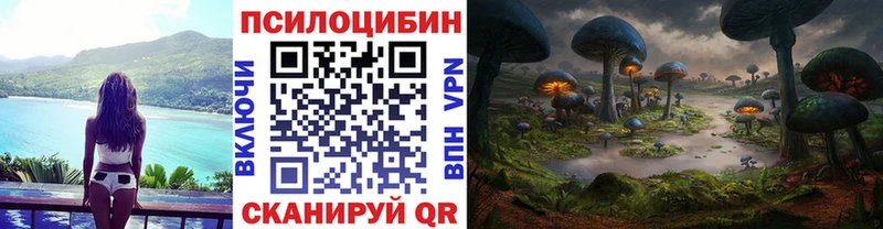 Галлюциногенные грибы мухоморы  Купить где  Черноголовка 